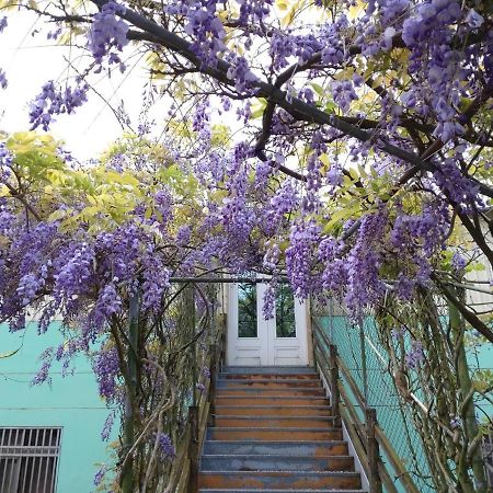 Youlin Homestay Meishan Exteriér fotografie