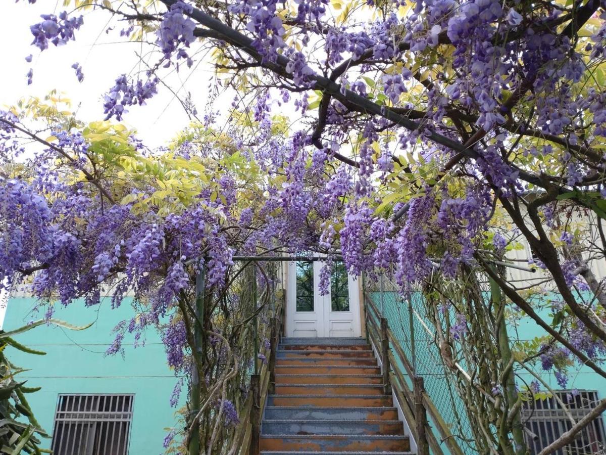 Youlin Homestay Meishan Exteriér fotografie